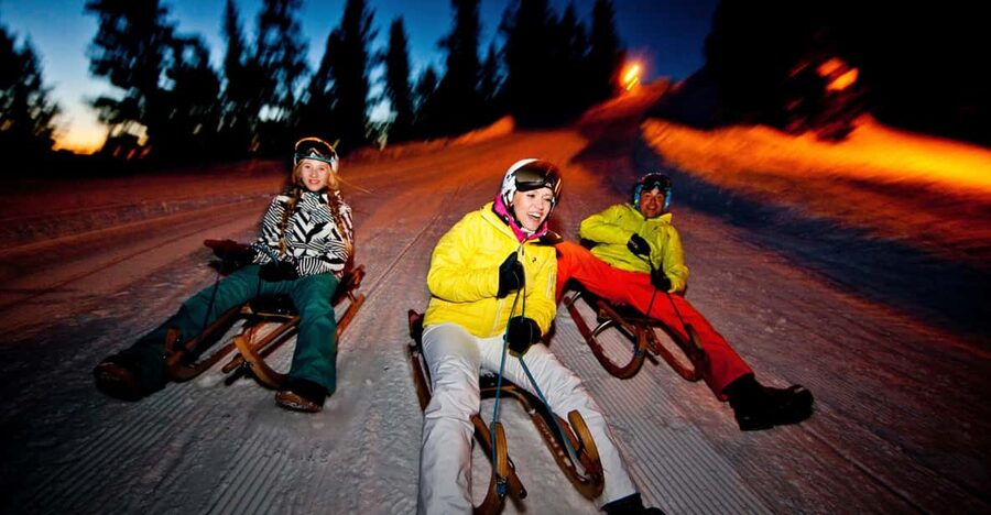 From Interlaken: Night Sledding with Cheese Fondue Dinner - What You’ll See While You Slide: Forests, Alpine Meadows, And Frozen Falls