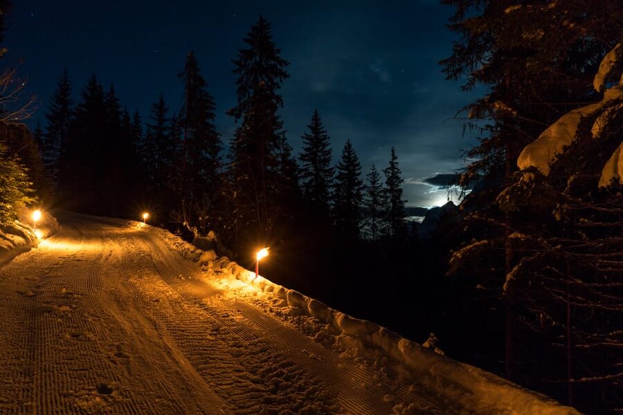 From Interlaken: Night Sledding with Cheese Fondue Dinner - Who This Tour Fits Best, And Who Should Skip