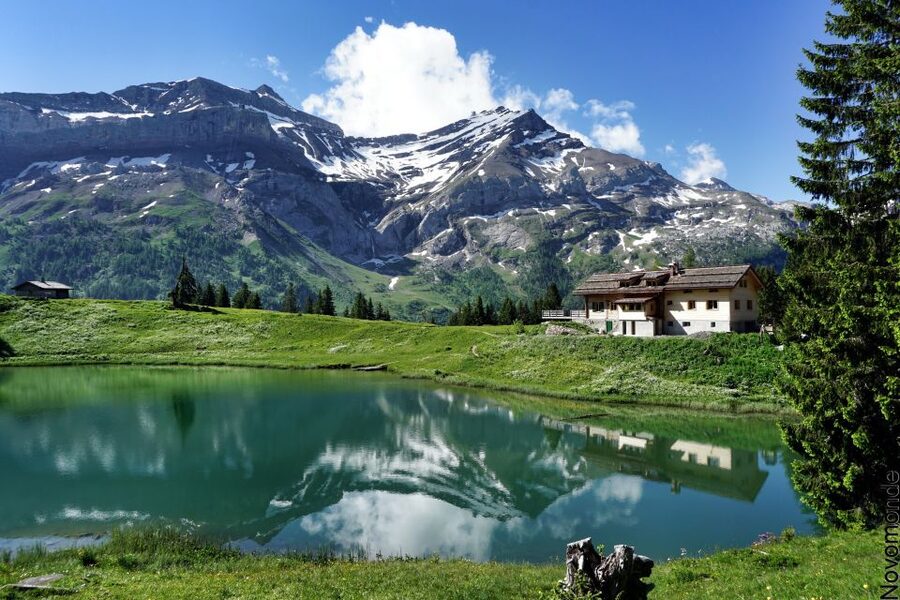 From Lausanne: Glacier 3000 experience and Montreux - Logistics that can make or break your day: meeting point, weather, and activity mix