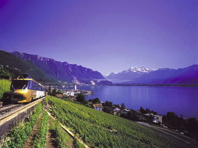 From Lausanne: Gruyères Tour with Train, Chocolate & Cheese - Getting from Vennes to the day’s first tasting stop