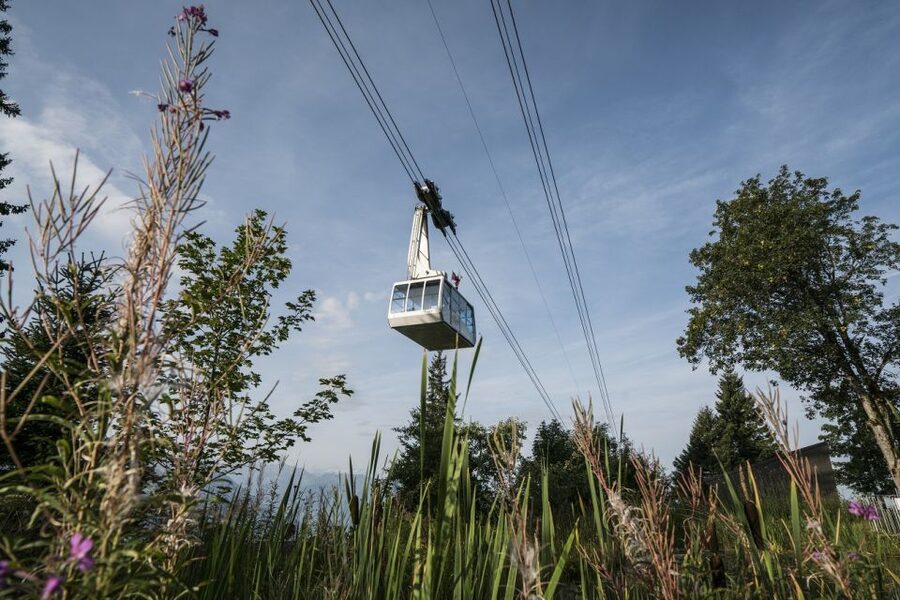 From Lucerne: Mount Rigi Day Trip with Cruise and Cable Car - Key highlights that make this day trip work