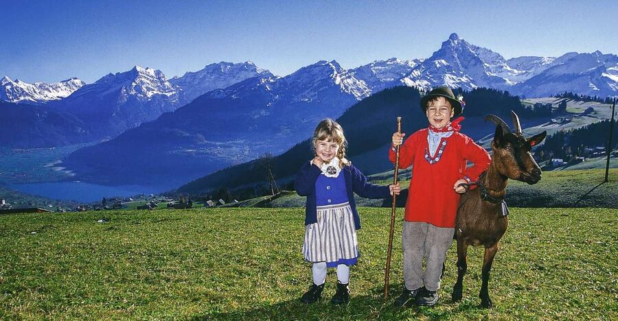From Zurich: Bus Day Trip to Heidiland and Liechtenstein - Key Points That Make This Trip Worth It