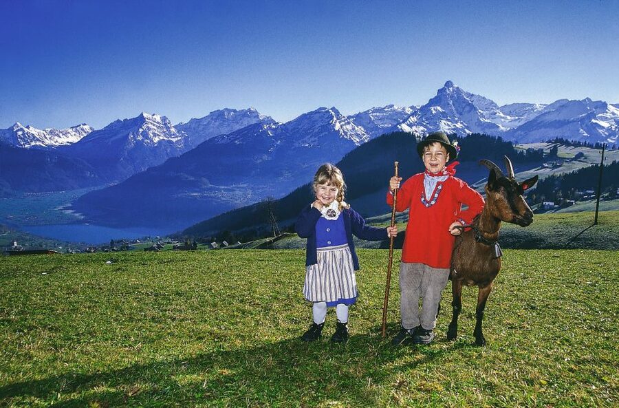 From Zurich: Bus Day Trip to Heidiland and Liechtenstein - Why This Day Trip Feels Like Two Countries and a Story