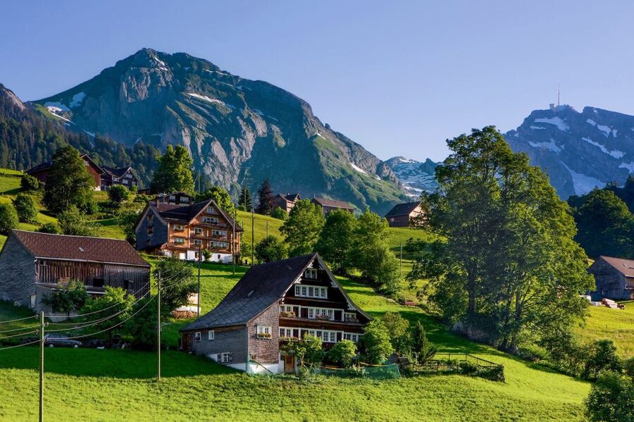 From Zurich: Bus Day Trip to Heidiland and Liechtenstein - Price and Value: What $115 Buys You in Real Terms
