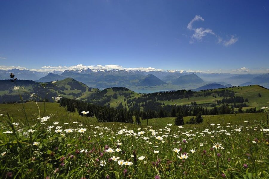 From Zurich: Day Trip to Rigi and Lake Lucerne - Partly Guided vs. Self-Paced: What You Should Know Before Booking