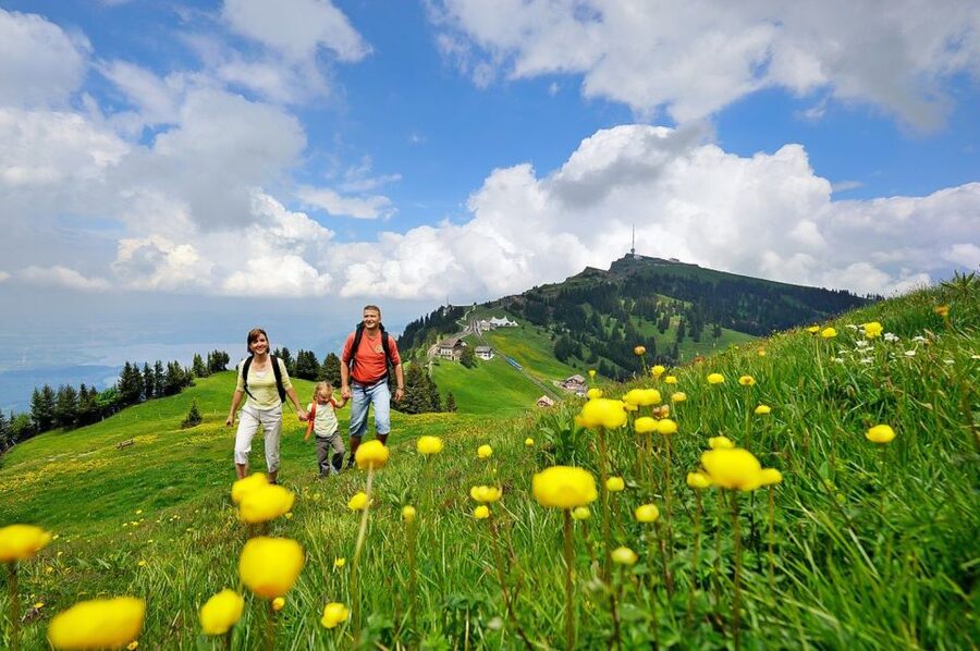 From Zurich: Day Trip to Rigi and Lake Lucerne - The Cogwheel Train to Vitznau: Classic Rail, Real Character