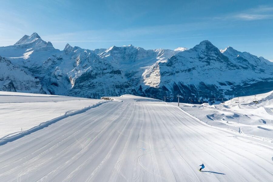 From Zurich: Grindelwald First Cable Car & Interlaken - Cliff Walk and the 40-Meter One-Rope Suspension Bridge: The Main Event, With a Real Heights Note