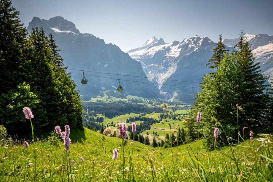 From Zurich: Grindelwald First Cable Car & Interlaken - Interlaken and Höhematte: Open Park Space and Paragliders Overhead