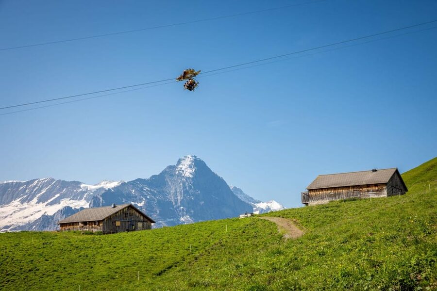 From Zurich: Grindelwald First Cable Car & Interlaken - Price and Value: Is $238 a Good Deal for This Swiss Alps Day?