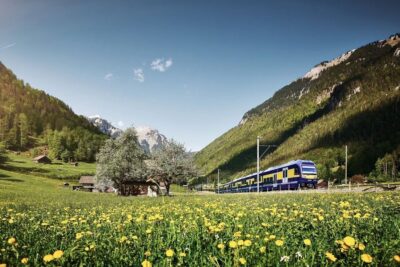 Grindelwald First Mountain Adventure Day Trip