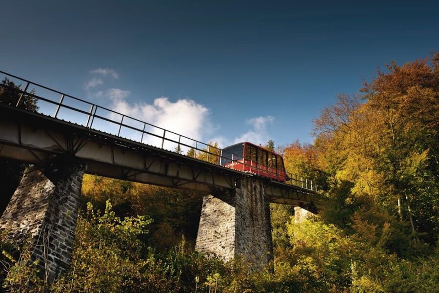 From Zurich: Interlaken Day Trip and Harder Kulm Viewpoint - Key things that make this day trip work