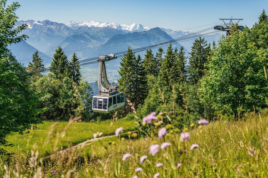 From Zurich: Mount Rigi and Lucerne Small-Group Day Trip - Mount Rigi and Lucerne from Zurich: what you really get in 10.5 hours