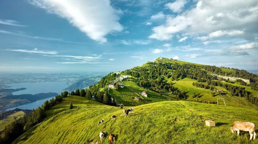 From Zurich: Mount Rigi and Lucerne Small-Group Day Trip - Should you book? My call for the Zurich to Rigi and Lucerne loop