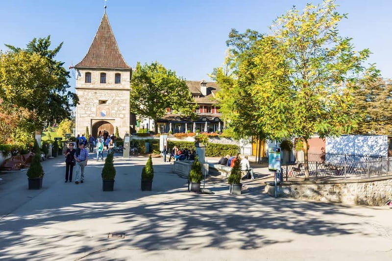 From Zurich: Rhine Falls Coach Tour with Entry Tickets - Zurich Old Town Moments and Dante-Inspired Architecture Along the Way