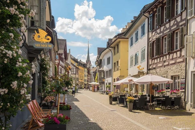 From Zurich: Stein am Rhein and Rhine Falls - Key points to know before you go