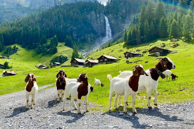 From Zurich: The most beautiful insider spots in Switzerland (private 1-day tour) - A Zurich insider day that actually feels Swiss, not rushed