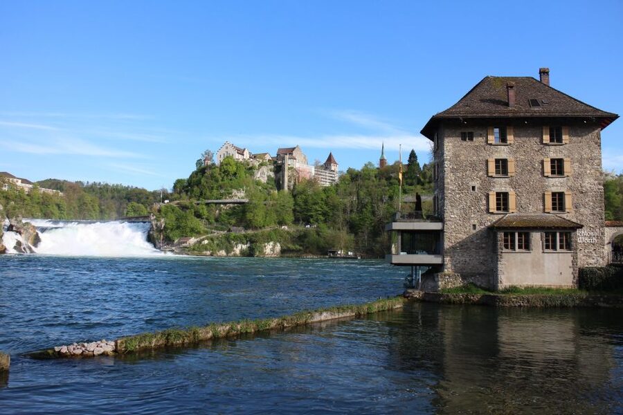 From Zurich to The Rhine Falls - Should you book this Zurich to Rhine Falls private tour?