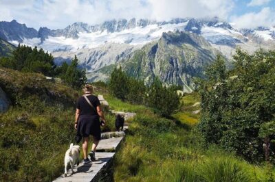 Full-Day Hiking Swiss Alps and Lake swim with Pick-up