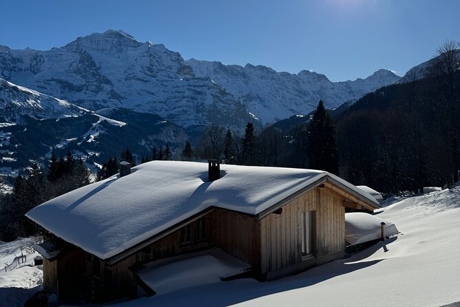 Full Day Luxury Private Tour in Swiss ALPS - Key takeaways before you go