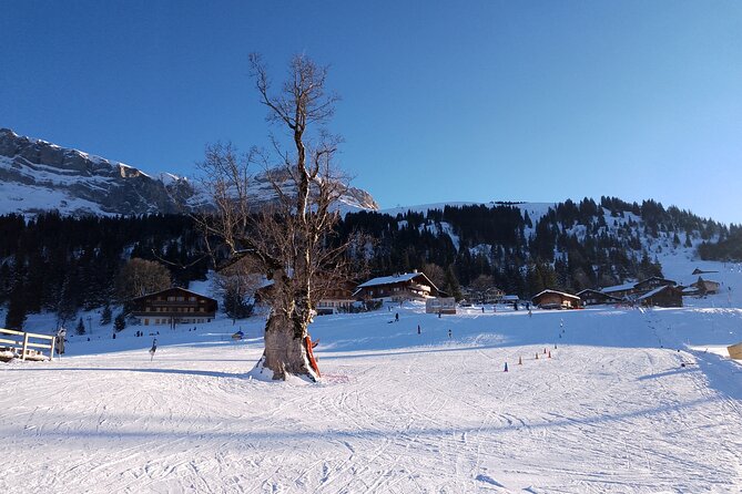 Fully organized Ski Experience for Private Groups - Price and Value: What You Are Actually Getting