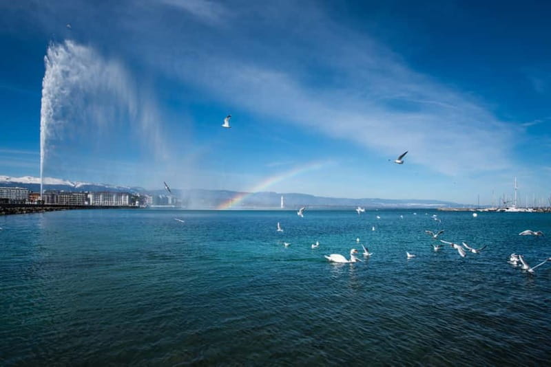 Geneva: City Tour and Fondue Cooking Class, Swiss Folklore - Geneva by Mini-Train and the Tramway Feel