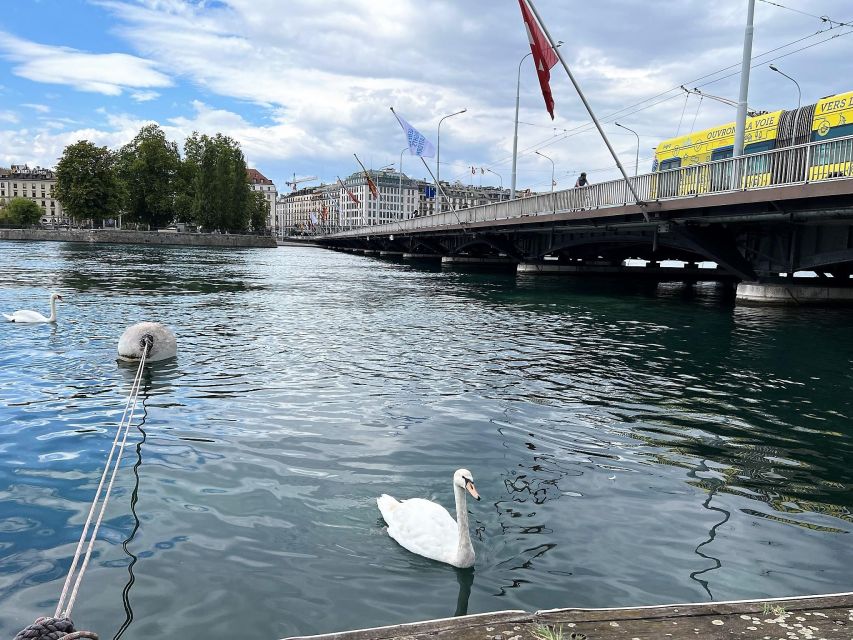 Geneva: Complete Tour, UN area & Old City (Hotel PICK-UP) - Pickup, Comfort, and How the Timing Works