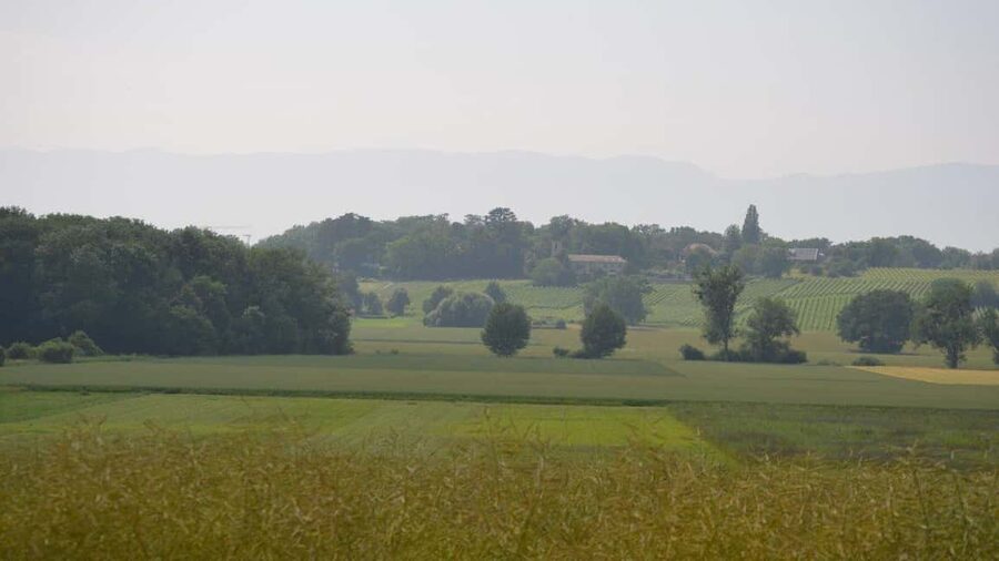 Geneva Countryside And Art Museum At A Castle Wine By E-Bike - The Castle Vineyard Stop: Archives, Wine Cellars, and a Property Tour