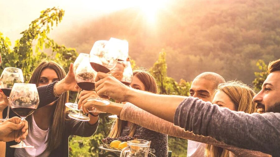 Geneva Countryside And Art Museum At A Castle Wine By E-Bike - Wine Tasting Details: Six Wines in 60 Minutes