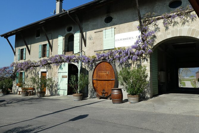 Geneva Countryside By E-Bike With Wine Tasting - Satigny Vineyards: Eight Generations, Eight Wines, and Real Winemaking Talk