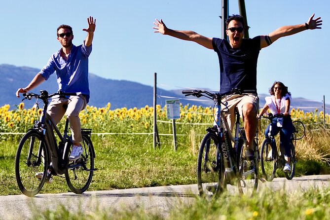 Geneva Highlights Tour by Bike - 3h - Start smart at Plaine de Plainpalais, then let the city flow