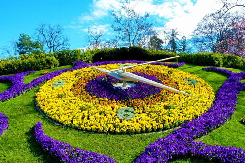 Geneva: Open-Top Sightseeing Bus Tour - Open-top comfort: rain runs the show, wind changes the mood