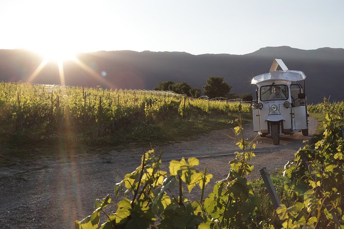 Geneva Panoramic & Tasting Vineyards Tour in an Tuk Tuk - Key highlights you should know
