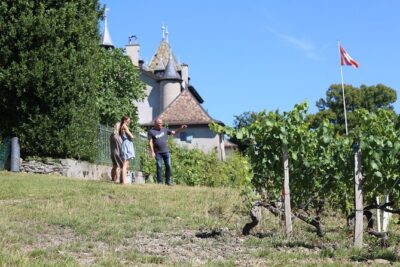 Geneva Panoramic & Tasting Vineyards Tour in an Tuk Tuk