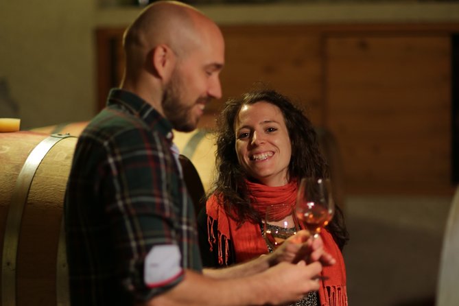 Geneva Panoramic & Tasting Vineyards Tour in an Tuk Tuk - Who Should Book This TukTuk Wine Tour?