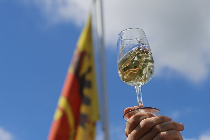 Geneva Panoramic & Tasting Vineyards Tour in an Tuk Tuk - Should You Book It?