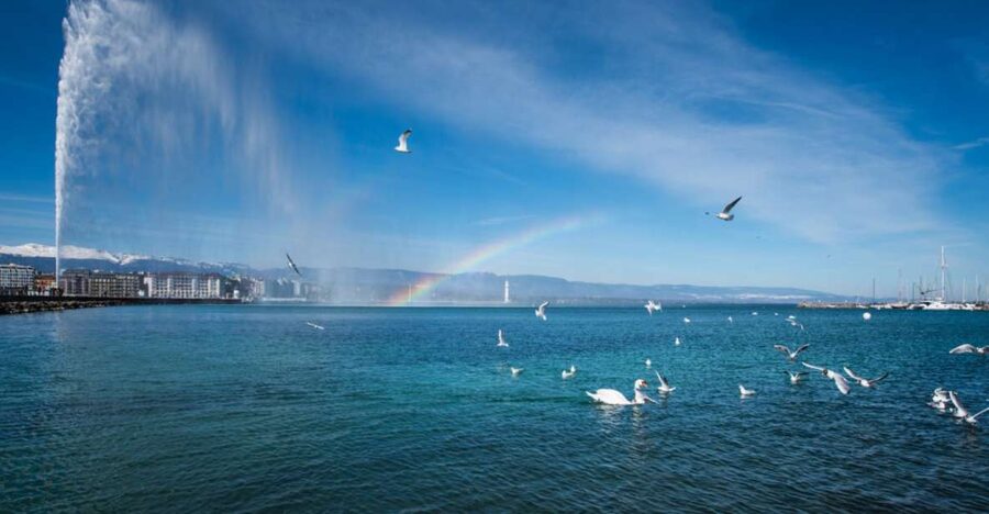 Geneva: Scenic Lake Cruise with Snacks and Wine - Key things to know before you go on Lake Geneva