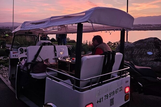 Geneva: Sightseeing of top Places Tour Electric TukTuk 1H15 tour - Pickup at your hotel: the easiest start in town