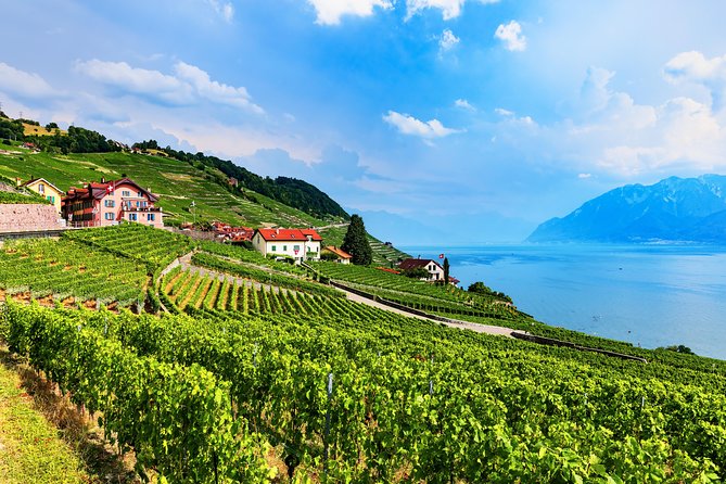 Geneva to Gruyère Private Day Trip. Cheese & Chocolate Tour - Lavaux wine terraces photo stop: scenery that breaks up a food-heavy day