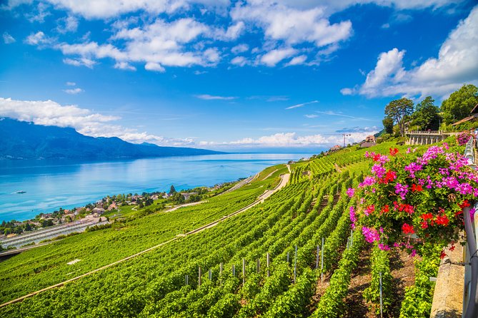 Geneva to Gruyère Private Day Trip. Cheese & Chocolate Tour - Lunch and drinks: know what you are paying for