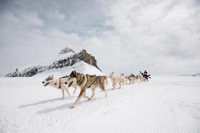 Glacier 3000 Ticket Including Cable Car and Peak Walk by Tissot - Cable car to 3,000 meters: the 15-minute rise you’ll actually remember