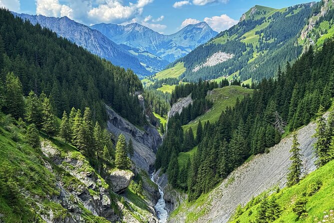 Griesalp UNESCO Alpine E-Bike Adventure from Interlaken - Key things I’d note before you go