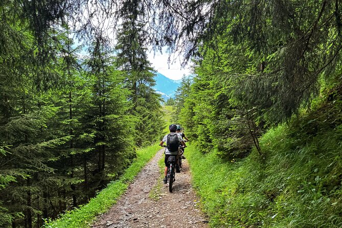 Griesalp UNESCO Alpine E-Bike Adventure from Interlaken - How the e-bike changes the day (and how it still stays a real ride)