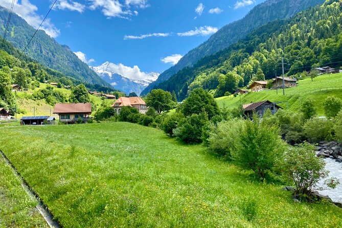 Grindelwald First & Bachalpsee Hiking Tour | From Interlaken - The Bachalpsee hike: 6 km total and the kind of reward you remember