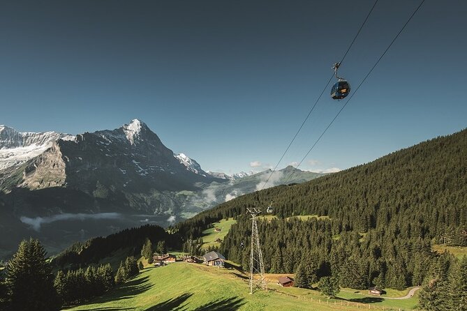 Grindelwald First - Top of Adventure from Lucerne - Cable Car To Mt. First: The Included Views That Set The Tone