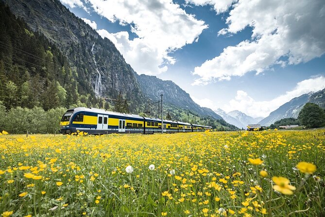Grindelwald First - Top of Adventure from Zurich - Time management on Mt. First: how to avoid the rush that ruins the day