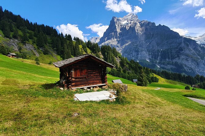Grindelwald First (Top of Adventure) Ticket incl. Cliff Walk - Extra activities at First: how this ticket fits with the bigger adventure menu