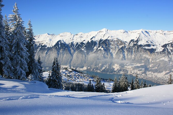 Grindelwald, Interlaken & Lauterbrunnen Day Trip from Zurich - Meeting spot, mobile ticket, and how the day stays organized