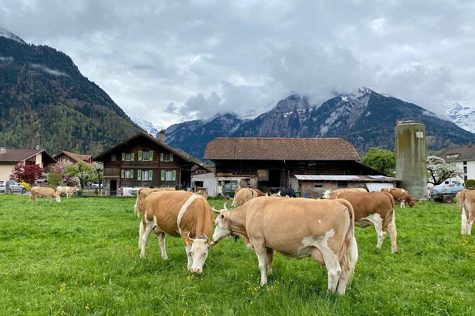 Grindelwald, Lauterbrunnen & Mürren Private Day Trip from Zurich - Gimmelwald Walk and Outdoor Raclette: Where the Day Turns Personal