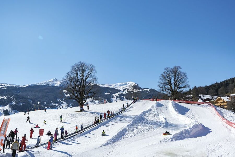 Grindelwald: Sledding at Bodmi Arena - Bodmi Arena in Grindelwald: a smart value sled day