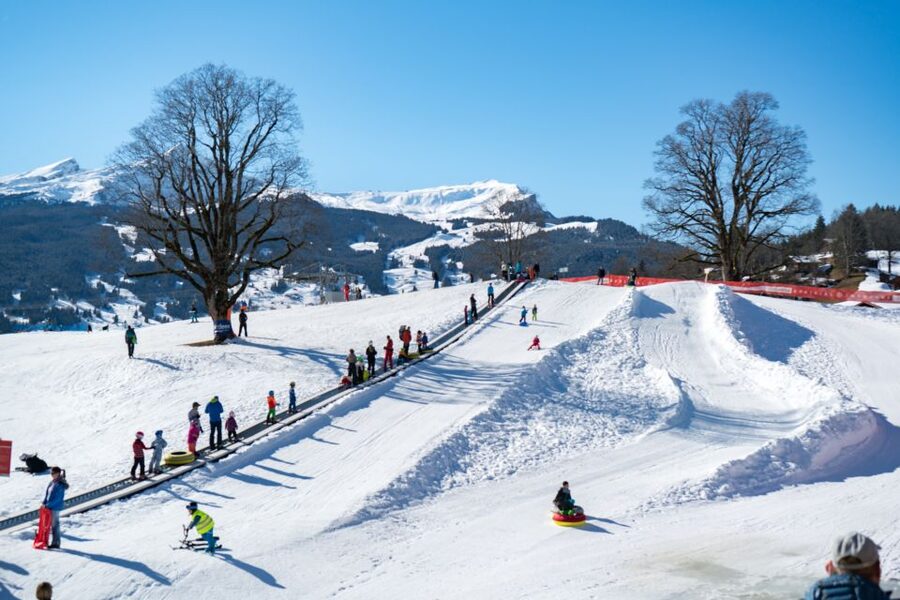 Grindelwald: Sledding at Bodmi Arena - What $23 includes, and what you must plan to pay for